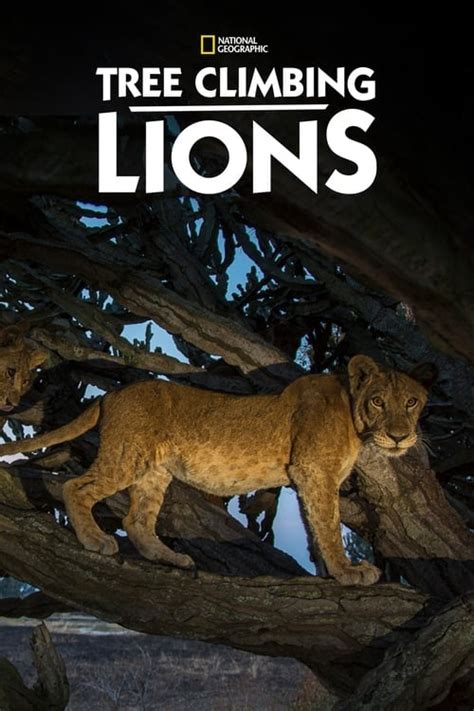 documentaire les lions des arbres